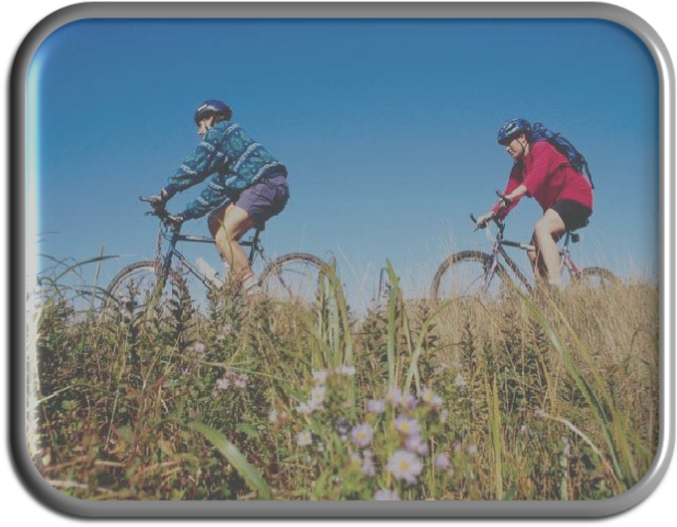 Q3 Rangers can be used to interpret any outdoor site, including historical sites, urban parks and wildlife reserves. Q3 Rangers can be used to interpret any outdoor site, including historical sites, urban parks and wildlife reserve